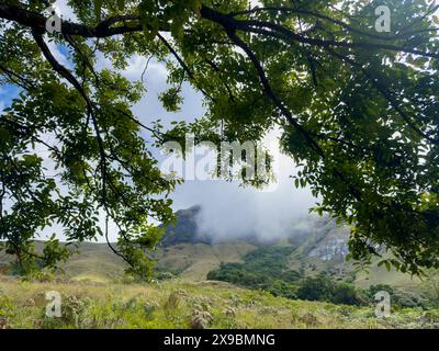 Der Eravikulam-Nationalpark liegt in den Kannan Devan Hills in der Nähe von Munnar. Es befindet sich im Devikulam Taluk des Distrikts Idukki in Kerala Stockfoto