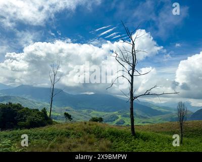 Wunderschöner Blick auf die Landschaft vom Eravikulam Nationalpark in den Kannan Devan Hills in der Nähe von Munnar. Sie befindet sich im Devikulam Taluk von Idukki Stockfoto