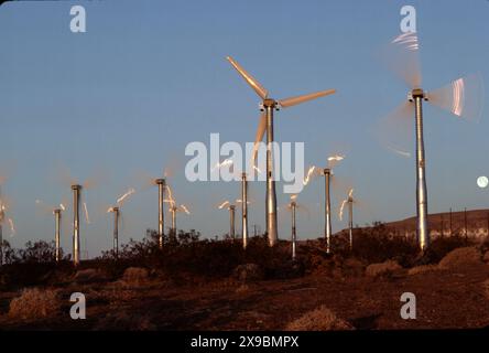 San Gorgonio Pass, CA. USA. 1983. In der Nähe von Palm Springs profitieren rund 1.220 Turbinen von „Winden“, die durch den Pass strömen. "Grüne Energie" in ihrer besten Form. Die Entwicklung des Windparks begann in den 1980er Jahren Es ist einer von drei großen Windparks in Kalifornien, zusammen mit denen am Altamont und am Tehachapi Pass. Stockfoto