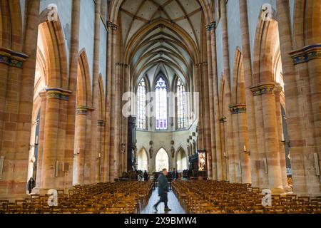 Innenraum, Hauptschiff, Martinsmünster, Collégiale Saint-Martin, Colmar, Elsass, Frankreich Stockfoto