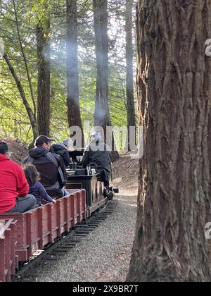 Usa. 15. Januar 2022. Menschen fahren mit einem kleinen Dampfzug auf der Redwood Valley Railroad im Tilden Regional Park, Orinda, Kalifornien, 15. Januar 2022. Foto mit freundlicher Genehmigung von Sftm. (Foto: Gado/Sipa USA) Quelle: SIPA USA/Alamy Live News Stockfoto