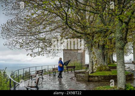 Buche auf der Terrasse, Kloster Hohenburg, Odilienberg, Elsass, Frankreich *** Buche auf der Terrasse, Kloster Hohenburg, Odilienberg, Elsass, Frankreich Stockfoto