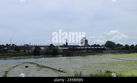 Gosport, Hampshire, England. 17. Mai 2024. Weitwinkelblick über den Haslarsee bei Ebbe, mit Gebäuden wie dem Haslarer Wasserturm am Horizont. Stockfoto