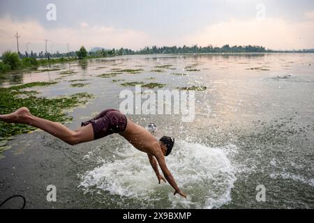 Ein Mann taucht in den Dal Lake, um sich an einem heißen Abend abzukühlen. Eine Rekordhitzewelle hat die indische Hauptstadtregion Delhi und Gebiete in den nordwestlichen und zentralen Regionen des Landes erfasst, wobei die Temperaturen während der ganzen Woche nahezu auf Allzeithochsen lagen. Stockfoto