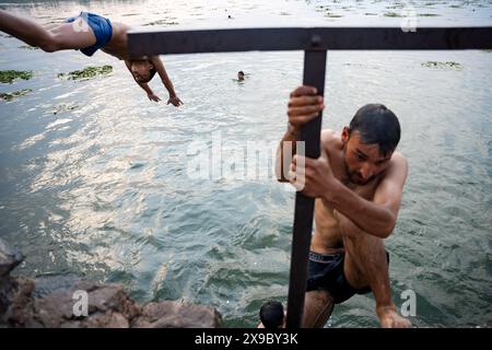 30. Mai 2024, Srinagar, Jammu & Kashmir, Indien: Einheimische kühlen sich bei einem Bad im Dal Lake an einem heißen Sommerabend ab. Eine Rekordhitzewelle hat die indische Hauptstadt Delhi und Gebiete im Nordwesten und in den zentralen Regionen des Landes überschwemmt, wobei die Temperaturen während der ganzen Woche nahezu auf Allzeithochwerten lagen. (Credit Image: © Idrees Abbas/SOPA Images via ZUMA Press Wire) NUR REDAKTIONELLE VERWENDUNG! Nicht für kommerzielle ZWECKE! Stockfoto