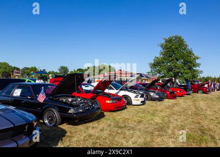 Eine Reihe von Ford Mustangs öffnen ihre Hauben für eine Autoshow im Riverside Gardens Park in Leo-Cedarville, Indiana, USA. Stockfoto