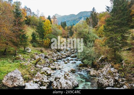 Der Fluss Soča im Soča-Tal in den Julischen Alpen, Slowenien Stockfoto