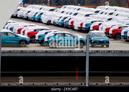 Reihen von elektrischen SUVs des Typs Atto 3 in China, die in einem Fahrzeuglagerbereich mit Schutzabdeckungen geparkt sind, warten auf den Vertrieb durch Autotransporter in Großbritannien. Stockfoto