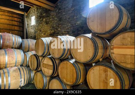 CN Kopke oder C.N. Kopke Winery Facility, Portugal Stockfoto