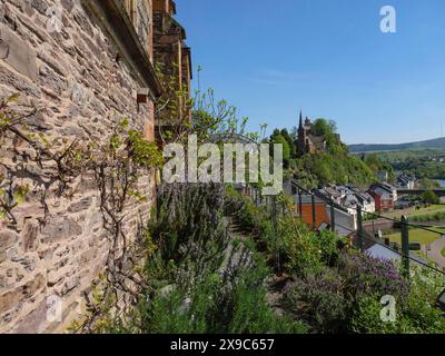 Steinmauer mit Vegetation, im Hintergrund eine Burg und eine kleine Stadt auf einem Hügel, Burgruine an einem Fluss mit grünen Bäumen, Saarburg, Deutschland Stockfoto