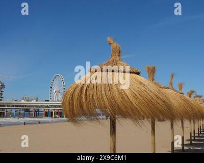 Strand mit Strohschirmen und einem Riesenrad im Hintergrund, Sonnenschirmen und einem Pier am Strand von Scheveningen, Scheveningen, Niederlande Stockfoto