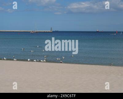 Ruhiger Sandstrand mit Möwen am Ufer, Blick aufs Meer mit Segelboot und Leuchtturm am Horizont, grüne Bäume am Ostseestrand Stockfoto