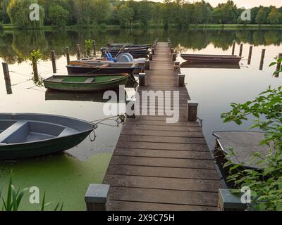 Ein Holzsteg führt zu mehreren Booten, die auf stillen Wasser, grünen Bäumen und Büschen auf einem kleinen See mit Steg und Booten schwimmen, borken deutschland Stockfoto