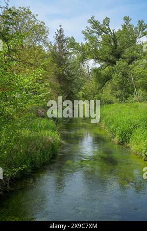 Rheinaue, Ochsenbogensee, Nebenfluss des Rheins im Naturschutzgebiet Rappennestgiessen, Burkheim am Kaiserstuhl, Baden-Württemberg, Deutschland Stockfoto