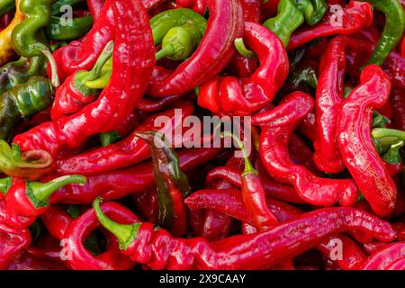 Ein Haufen leuchtender, roter, heißer Paprika, mit einigen grünen, durchbrochenen Paprika, die gut sichtbar dargestellt sind. Ihre verdrehten Formen und glänzenden Felle sind hervorgehoben, EM Stockfoto