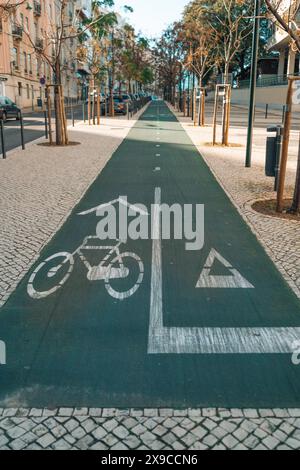 Ein grüner Fahrradweg, der durch eine Stadtstraße führt, markiert mit weißen Fahrradsymbolen und Pfeilen, gesäumt von Bäumen und geparkten Autos auf beiden Seiten. Das lan Stockfoto