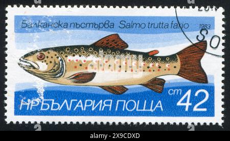 BULGARIEN - CIRCA 1983: Briefmarke von Bulgarien, zeigt Forelle, ca. 1983 Stockfoto