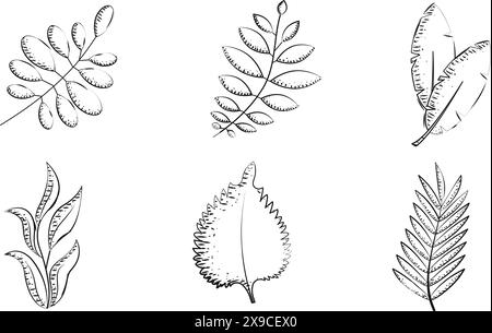 Satz von Leaves Skizzensymbolen Vektor Stock Vektor