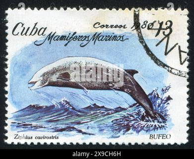 KUBA - CA. 1980: Stempel von Kuba, zeigt Schnabelwal Ziphius cavirostris, ca. 1980 Stockfoto