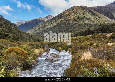 Arthur's Pass in Neuseeland, Fluss- und Strauchlandschaft Stockfoto