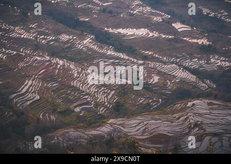 Nahaufnahme der Schichten der Reisterrassen in der Gegend von Bada Reisterrassen, China, Yunnan. UNESCO-Weltkulturerbe Stockfoto