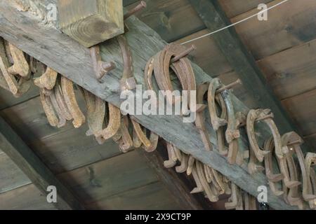 Eine Sammlung alter, rostiger Hufeisen, die an einem Holzbalken hängen, in einer rustikalen Umgebung. Stockfoto