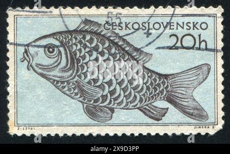 TSCHECHOSLOWAKEI - UM 1955: Stempel gedruckt von der Tschechoslowakei, zeigt Karp, um 1955 Stockfoto