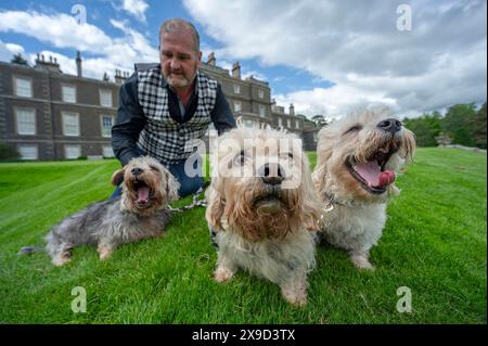 Bowhill, UK, 29.05.2024, Dandie Dinmont Terrier sind eine seltene Rasse, wenn im Vereinigten Königreich durchschnittlich weniger als 100 Hunde aus der schottischen Grenze geboren werden. Um die Rasse am Samstag, den 1. Juni, zu feiern, findet im Bowhill House in den Scottish Borders ein Dandie Dinmont Terrier Club statt. Der Dandie Dinmont Terrier Club wurde 1875 gegründet und ist damit der zweitälteste Hundeschlub der Welt. Das Bild zeigt Calum Flanders, der bei Bowhill House arbeitet und drei Dandie Dinmont Mädchen hat, Bowhill Lucy, Lilibet und Clementine. Er trägt auch den Schottenstreifen des Herzogs von Buccleuch, der dem Hund bre geschenkt hat Stockfoto