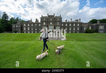 Bowhill, UK, 29.05.2024, Dandie Dinmont Terrier sind eine seltene Rasse, wenn im Vereinigten Königreich durchschnittlich weniger als 100 Hunde aus der schottischen Grenze geboren werden. Um die Rasse am Samstag, den 1. Juni, zu feiern, findet im Bowhill House in den Scottish Borders ein Dandie Dinmont Terrier Club statt. Der Dandie Dinmont Terrier Club wurde 1875 gegründet und ist damit der zweitälteste Hundeschlub der Welt. Das Bild zeigt Calum Flanders, der bei Bowhill House arbeitet und drei Dandie Dinmont Mädchen hat, Bowhill Lucy, Lilibet und Clementine. Er trägt auch den Schottenstreifen des Herzogs von Buccleuch, der dem Hund bre geschenkt hat Stockfoto