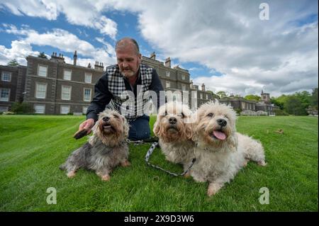 Bowhill, UK, 29.05.2024, Dandie Dinmont Terrier sind eine seltene Rasse, wenn im Vereinigten Königreich durchschnittlich weniger als 100 Hunde aus der schottischen Grenze geboren werden. Um die Rasse am Samstag, den 1. Juni, zu feiern, findet im Bowhill House in den Scottish Borders ein Dandie Dinmont Terrier Club statt. Der Dandie Dinmont Terrier Club wurde 1875 gegründet und ist damit der zweitälteste Hundeschlub der Welt. Das Bild zeigt Calum Flanders, der bei Bowhill House arbeitet und drei Dandie Dinmont Mädchen hat, Bowhill Lucy, Lilibet und Clementine. Er trägt auch den Schottenstreifen des Herzogs von Buccleuch, der dem Hund bre geschenkt hat Stockfoto