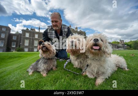 Bowhill, UK, 29.05.2024, Dandie Dinmont Terrier sind eine seltene Rasse, wenn im Vereinigten Königreich durchschnittlich weniger als 100 Hunde aus der schottischen Grenze geboren werden. Um die Rasse am Samstag, den 1. Juni, zu feiern, findet im Bowhill House in den Scottish Borders ein Dandie Dinmont Terrier Club statt. Der Dandie Dinmont Terrier Club wurde 1875 gegründet und ist damit der zweitälteste Hundeschlub der Welt. Das Bild zeigt Calum Flanders, der bei Bowhill House arbeitet und drei Dandie Dinmont Mädchen hat, Bowhill Lucy, Lilibet und Clementine. Er trägt auch den Schottenstreifen des Herzogs von Buccleuch, der dem Hund bre geschenkt hat Stockfoto