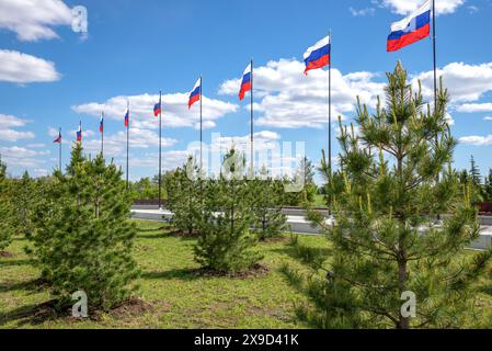 SARATOW REGION, RUSSLAND - 4. MAI 2024: Zederngasse und Fahnen der RF im Park der Weltraumforscher. Region Saratow, Russland Stockfoto