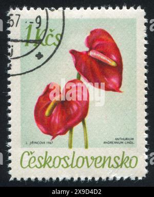 TSCHECHOSLOWAKEI - UM 1967: Stempel gedruckt von der Tschechoslowakei, zeigt Anthurium, um 1967 Stockfoto