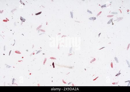 Handgefertigtes recyceltes Blumen- und Blattpapier oder Maulbeerpapier Textur Hintergrund Stockfoto