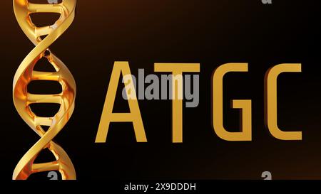 3D-Rendering von Gold-ATGC-Buchstaben Hintergrund. Adenin, Thymin, Cytosin und Guanin sind die vier Nukleotide, die in der DNA gefunden werden Stockfoto