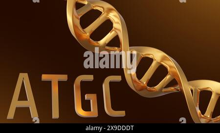 3D-Rendering von Gold-ATGC-Buchstaben Hintergrund. Adenin, Thymin, Cytosin und Guanin sind die vier Nukleotide, die in der DNA gefunden werden Stockfoto