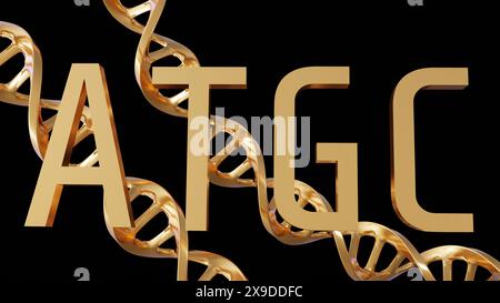 3D-Rendering von Gold-ATGC-Buchstaben Hintergrund. Adenin, Thymin, Cytosin und Guanin sind die vier Nukleotide, die in der DNA gefunden werden Stockfoto