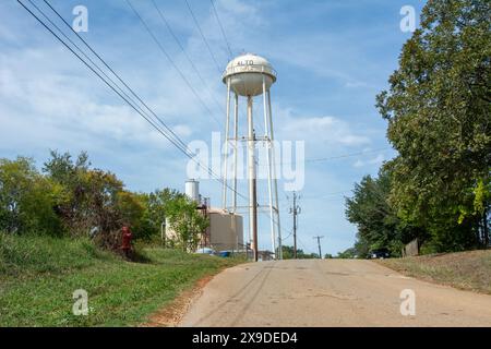 Alto Water Tower hinter den Bäumen im Cherokee County, Texas, USA Stockfoto