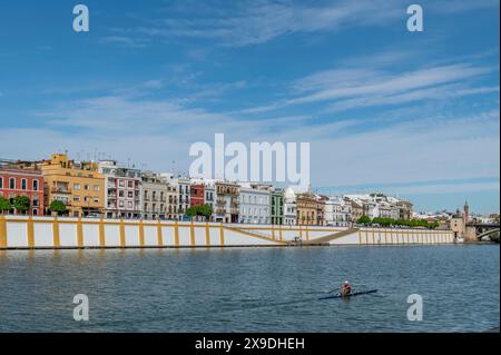 Ein einsamer Ruderer auf dem Fluss Guadalquivir, im Hintergrund die farbenfrohe Calle Betis Straße, Triana, Sevilla, Spanien Stockfoto