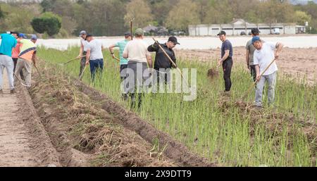 Landwirt Billau blickt zurück viele Jahre war Landwirt Willi Billau Vorsitzender des Regionalbauernsverbands. Nonne hat er das Amt niedergelegt und blickt auf die Jahre zurück, aber auch in die Zukunft. 08.04.2024 Lampertheim Landwirt Billau blickt zurück viele Jahre war Landwirt Willi Billau Vorsitzender des Regionalbauernsverbands. Nonne hat er das Amt niedergelegt und blickt auf die Jahre zurück, aber auch in die Zukunft. *** Landwirt Billau blickt viele Jahre zurück, Landwirt Willi Billau war Vorsitzender des Regionalen Bauernverbandes, jetzt hat er sein Amt niedergelegt und blickt über die Jahre zurück Stockfoto