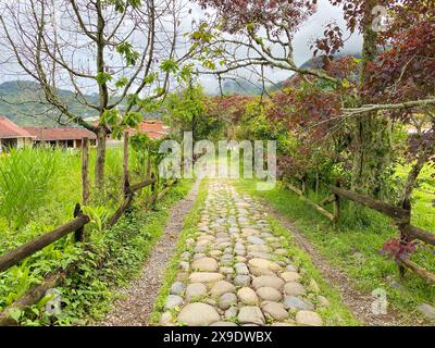 Ein ruhiger Kopfsteinpflasterweg schlängelt sich durch eine üppige grüne Landschaft, flankiert von Bäumen und rustikalen Holzzäunen, mit fernen Bergen und ländlichen Häusern. Stockfoto