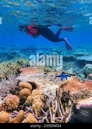 Indonesien Anambas Islands - Frau schnorchelt im Korallenriff Stockfoto