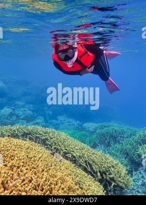 Indonesien Anambas Islands - Frau schnorchelt im Korallenriff Stockfoto