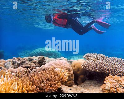 Indonesien Anambas Islands - Frau schnorchelt im Korallenriff Stockfoto