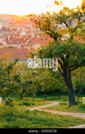 Sonnenaufgang in Prag, schmaler Weg den Hügel hinunter Stockfoto