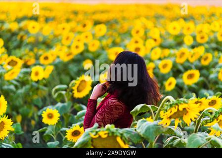 Frau in rotem Kleid im Sonnenblumenfeld bei Sonnenuntergang. Stockfoto