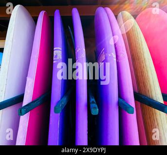 Eine Nahaufnahme von pinken und violetten Surfbrettern mit Linsenaufschlag im Stockfoto
