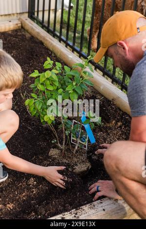 Mann und Junge Pflanzen eine Topfpflanze zusammen in ein Gartenbeet Stockfoto