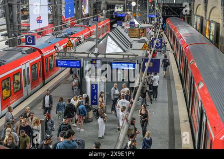 Regionalbahnen, Passagiere, Bahnsteig, Bahnhofshalle, Hauptbahnhof, Hamburg, Deutschland Stockfoto