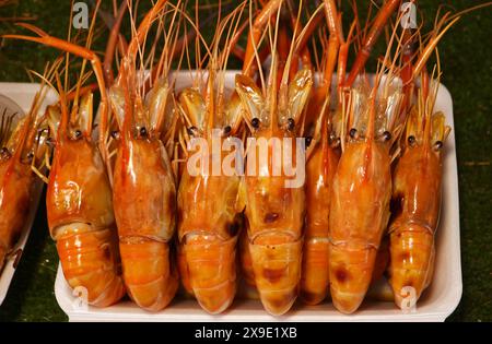 Nahaufnahme köstlicher flammender gegrillter Flussgarnelen zum Verkauf auf einem lokalen Markt in Bangkok, Thailand Stockfoto